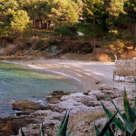Guesthouse Torga Vis Exterior photo
