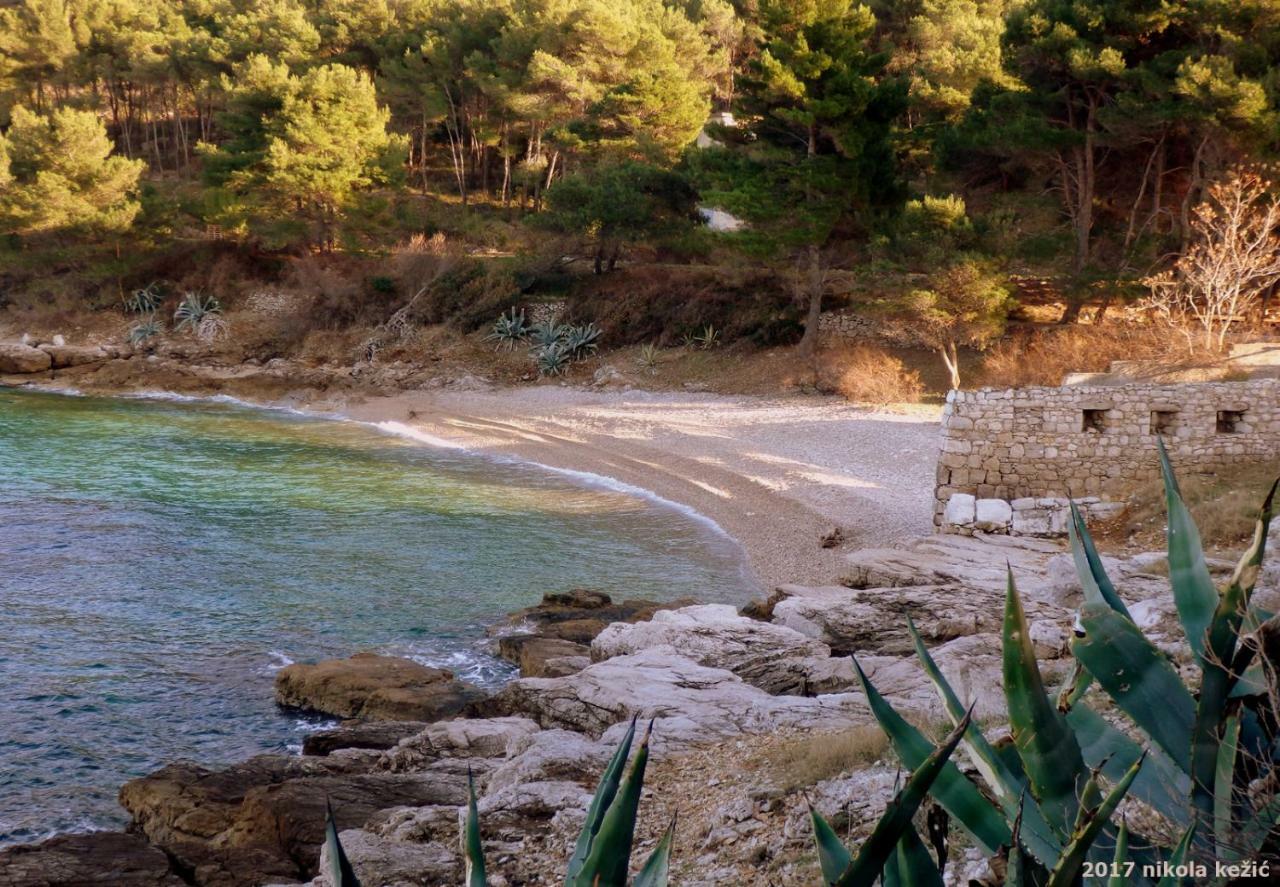 Guesthouse Torga Vis Exterior photo